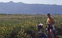 WT 2200 302-36 Portugal
